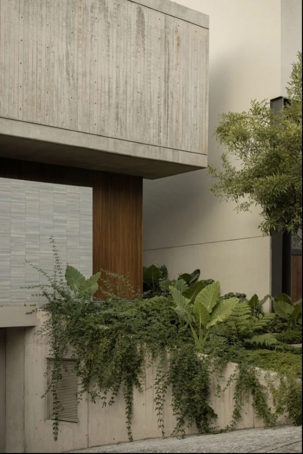 Villa approach framed by tropical greenery